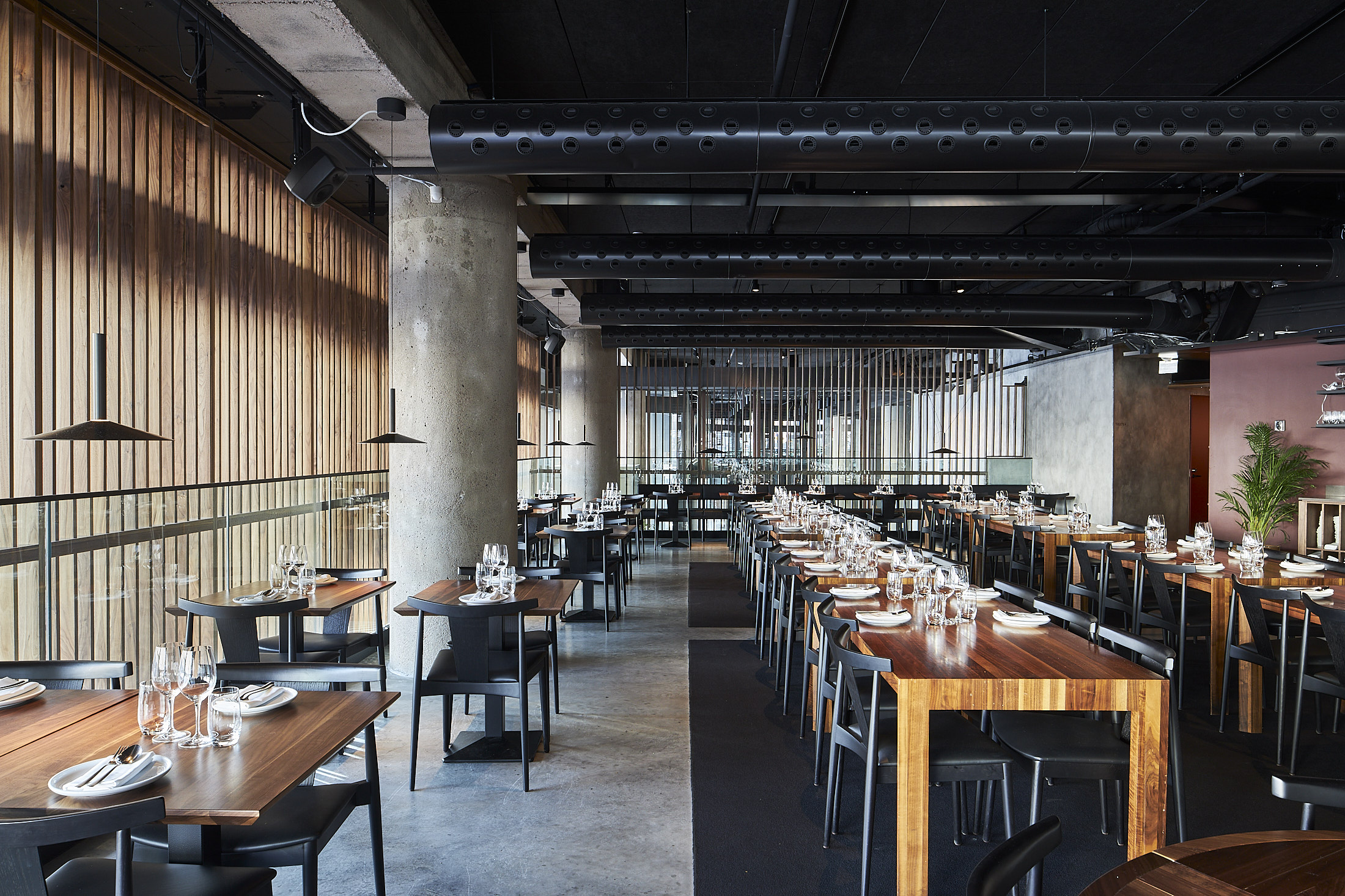 Restaurace Farang 5